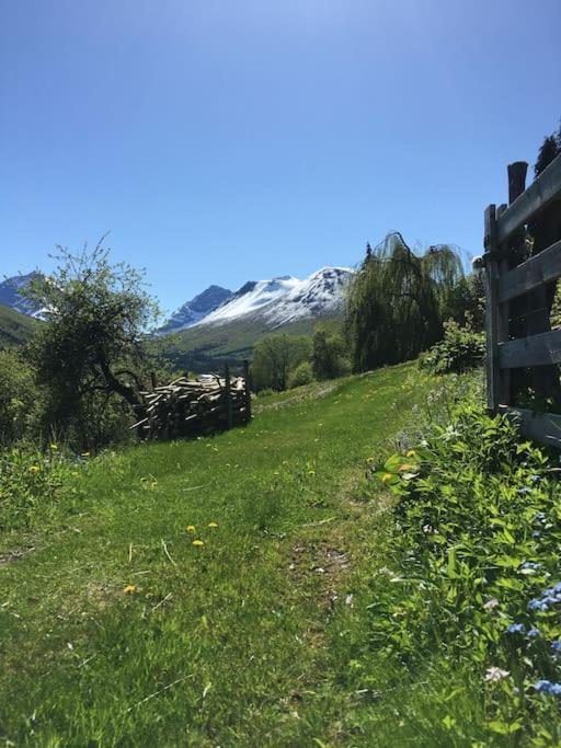 Moonvalley Lodge - Stort & Koselig Hus - Mandalen Buitenkant foto